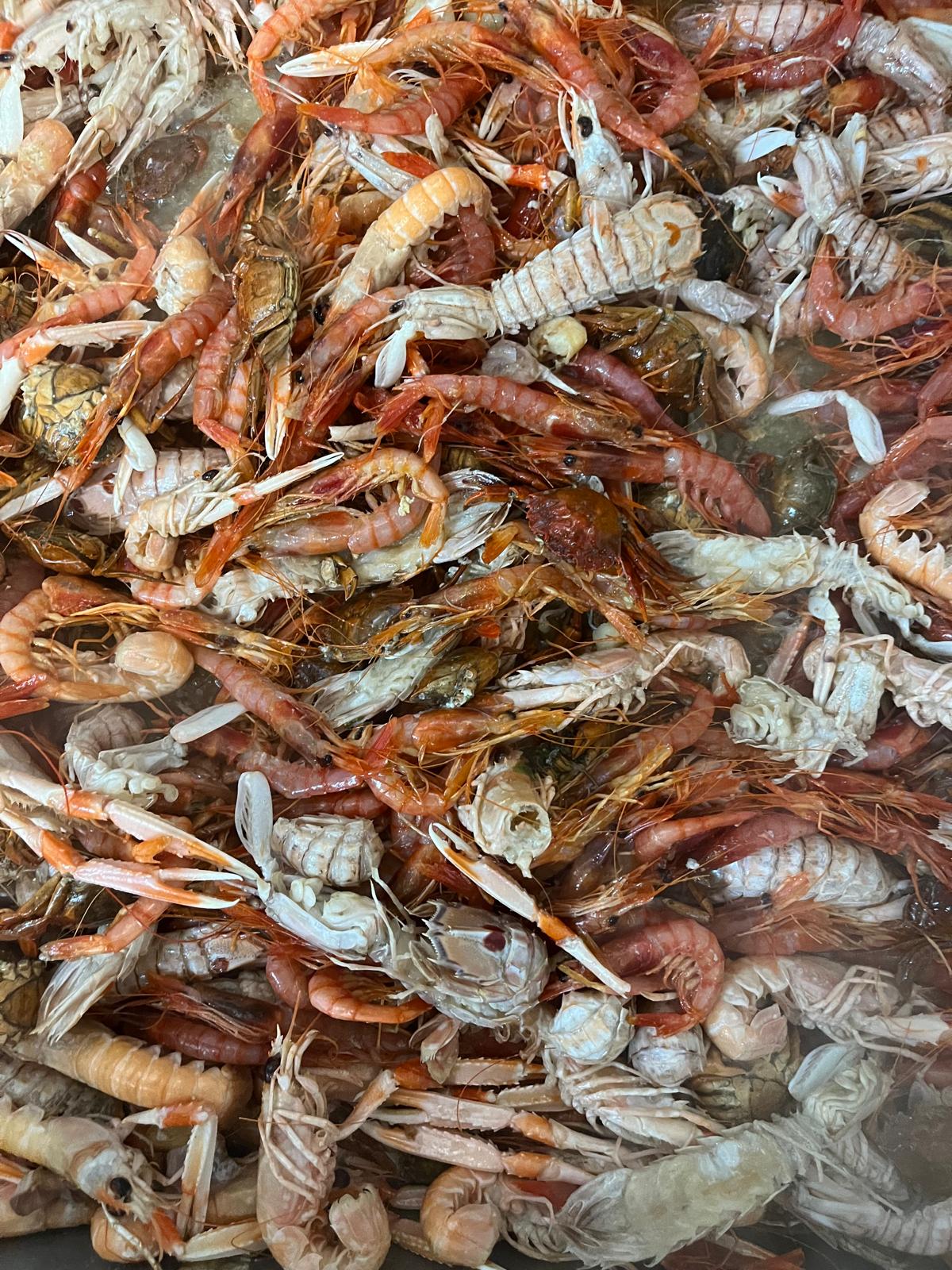 🥣🐟 🦀 Caldo de Pescado y Marisco (800 gr)